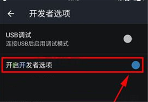 一加6打開開發(fā)者選項(xiàng)的具體操作截圖