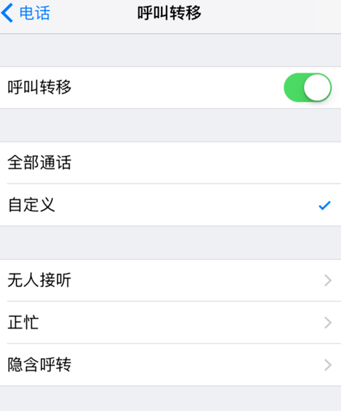 iphone設(shè)置呼叫轉(zhuǎn)移的操作流程截圖