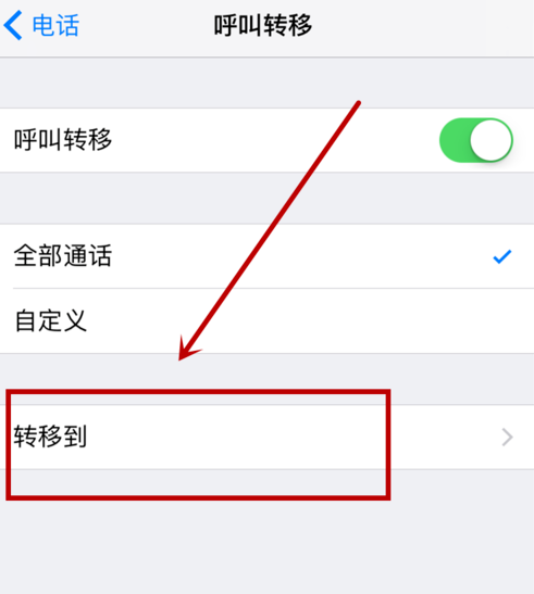 iphone設(shè)置呼叫轉(zhuǎn)移的操作流程截圖