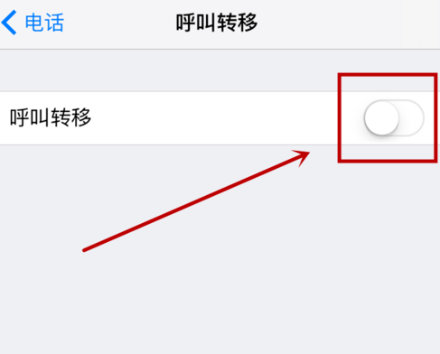 iphone設(shè)置呼叫轉(zhuǎn)移的操作流程截圖