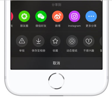 iPhone中下載無(wú)水印抖音視頻方法截圖