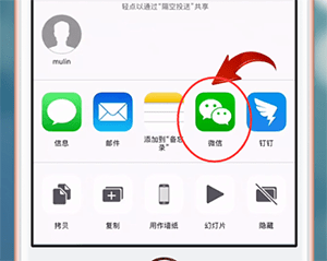 在蘋(píng)果手機(jī)中將Live Photos照片發(fā)送給微信好友的詳細(xì)操作截圖