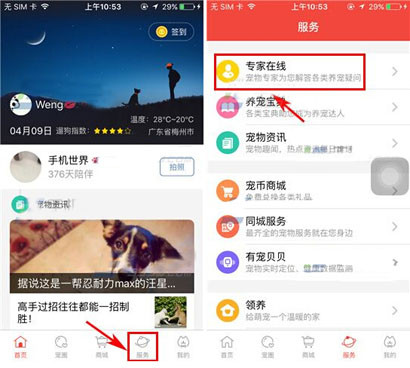 有寵app發(fā)布求助的操作過程截圖