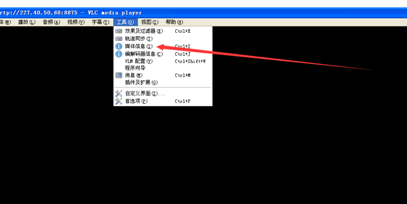 VLC播放器查看媒體信息的基礎(chǔ)操作截圖