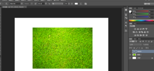 photoshop制造草地文字的操作流程截圖