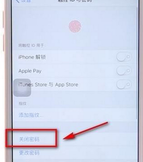 iPhone鎖屏設置長密碼的具體操作截圖