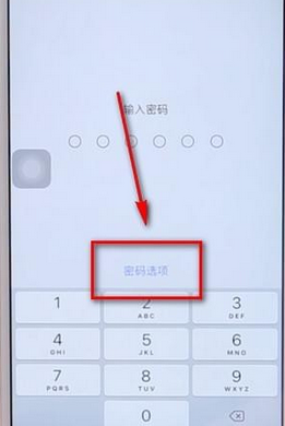iPhone鎖屏設置長密碼的具體操作截圖