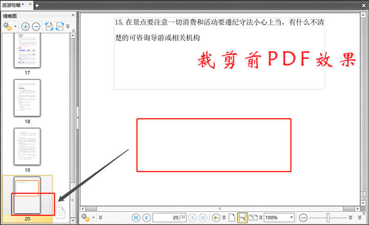 迅捷PDF編輯器剪裁PDF文件頁面的詳細(xì)操作截圖