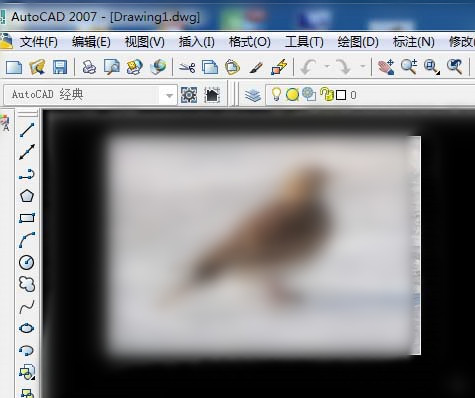 借助cad臨摹小鳥(niǎo)圖片的操作方法截圖