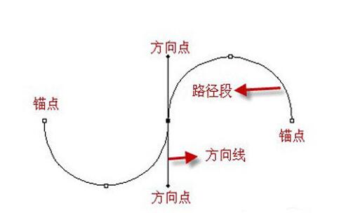 ps使用鋼筆工具的詳細(xì)操作截圖