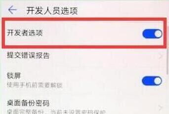 在華為p30pro中打開開發(fā)者選項的方法介紹截圖