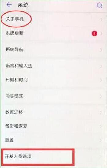 在華為p30pro中打開開發(fā)者選項的方法介紹截圖