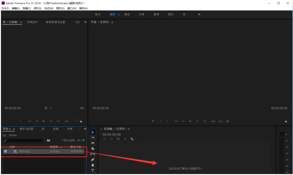 Premiere進行視頻去色處理的具體操作使用截圖