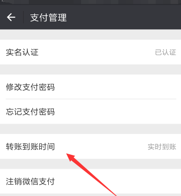 微信更改轉(zhuǎn)賬到賬時間的基礎(chǔ)操作截圖