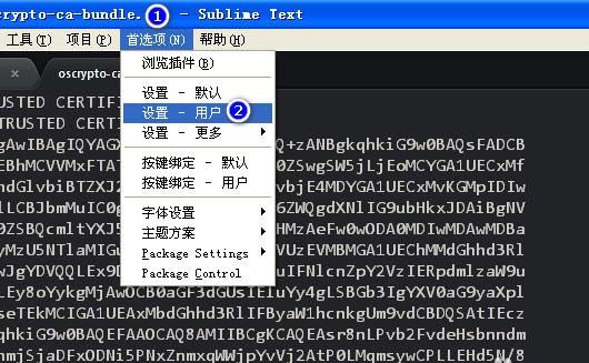 sublime text設(shè)置禁止打開上次關(guān)閉未退出文件的處理操作截圖