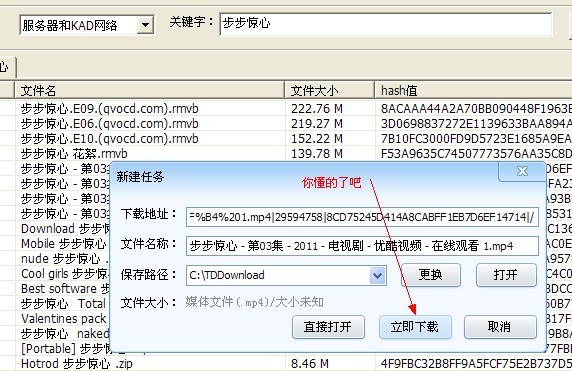 P2PSearcher的詳細使用教程截圖