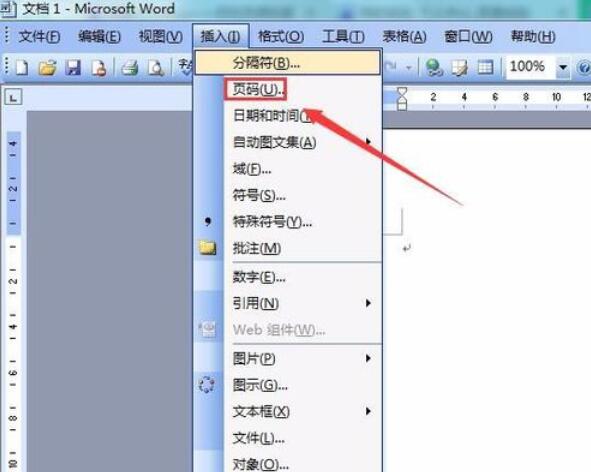 word2003中插入頁碼的方法截圖