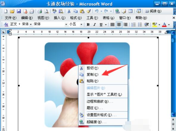 word2003中圖片導(dǎo)出的操作步驟截圖