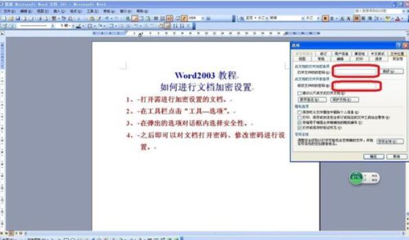 word2003設(shè)置密碼的詳細(xì)步驟截圖