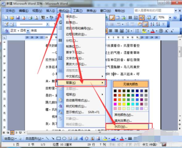 word2003文檔添加水印的方法介紹截圖