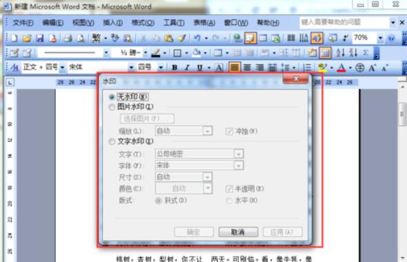 word2003文檔添加水印的方法介紹截圖