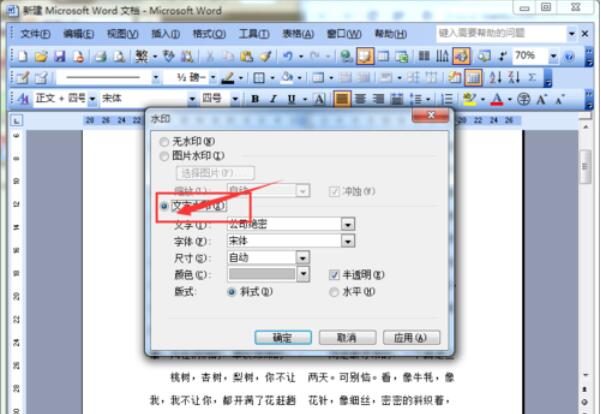 word2003文檔添加水印的方法介紹截圖