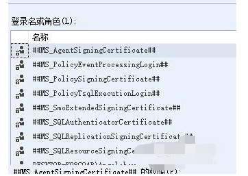 SQL Server 設(shè)置權(quán)限的具體操作教程截圖