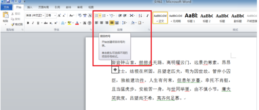 word2010項(xiàng)目符號(hào)的操作教程截圖