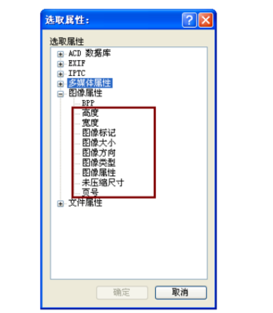 ACDSee添加更多排序選項(xiàng)的操作教程截圖