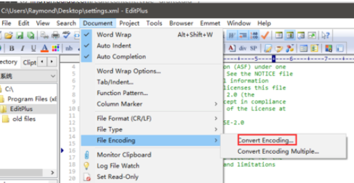 EditPlus更改字符編碼格式的操作教程截圖