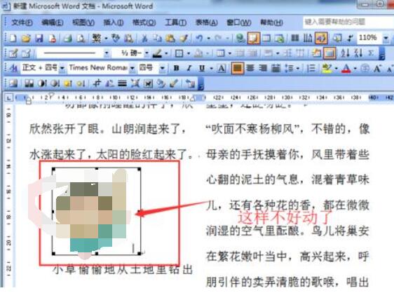 word2003中防止圖片移動的設(shè)置方法截圖