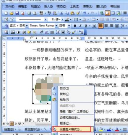 word2003中防止圖片移動的設(shè)置方法截圖