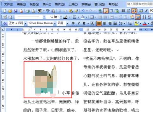 word2003中防止圖片移動的設(shè)置方法截圖