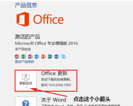 Microsoft office 2016禁用更新的詳細操作截圖