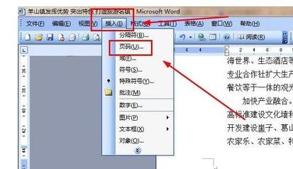 word2003中將第二頁設(shè)置為第一頁的操作步驟截圖