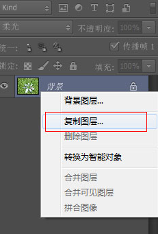 Photoshop CS6給草地調(diào)出亮麗顏色的操作教程截圖