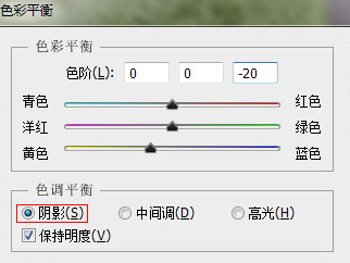 Photoshop CS6給草地調(diào)出亮麗顏色的操作教程截圖