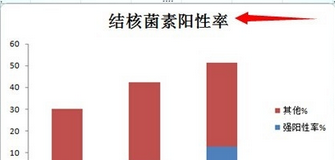 excel2007繪制分段條圖的操作教程截圖