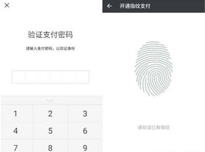 iqoopro手機微信指紋支付的設置方法截圖