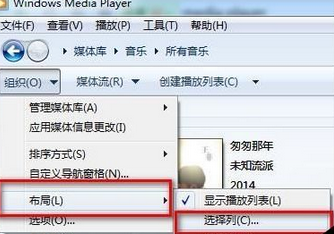 Windows Media Player查看歌曲詳情內(nèi)容的操作教程截圖