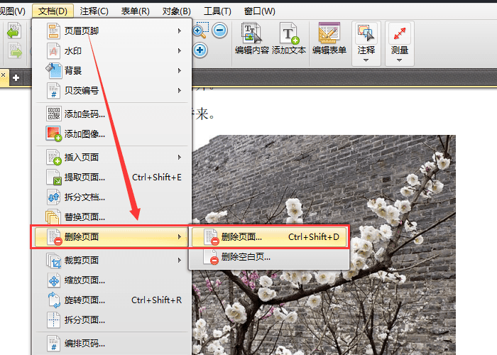 迅捷pdf編輯器打開刪除或替換其中頁(yè)面的操作教程截圖