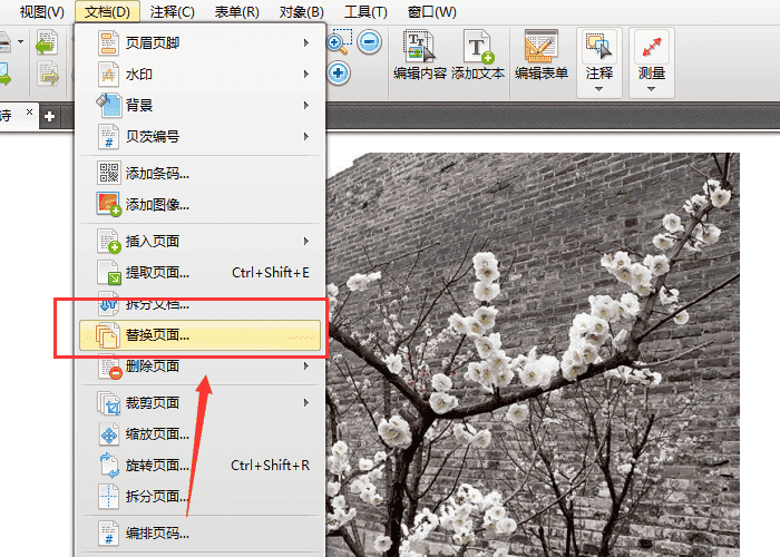 迅捷pdf編輯器打開刪除或替換其中頁(yè)面的操作教程截圖