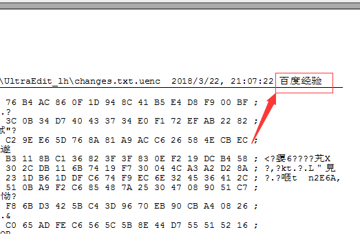 UltraEdit文件頁面添加頁眉的詳細操作過程截圖