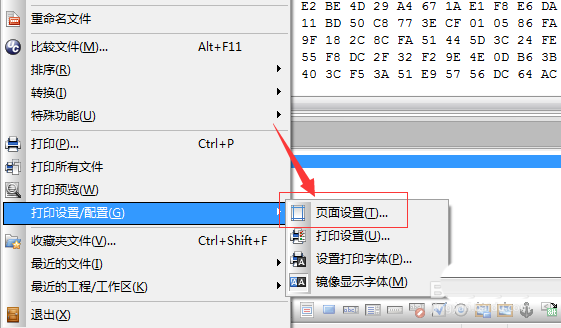 UltraEdit文件頁面添加頁眉的詳細操作過程截圖