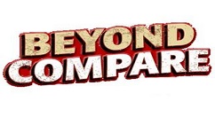 Beyond Compare設(shè)置顯示單一垂直滾動(dòng)條的具體操作步驟