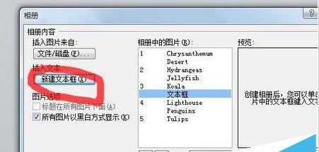 PowerPoint Viewer批量導入照片的詳細操作步驟截圖