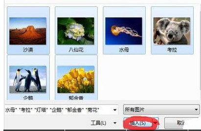 PowerPoint Viewer批量導入照片的詳細操作步驟截圖