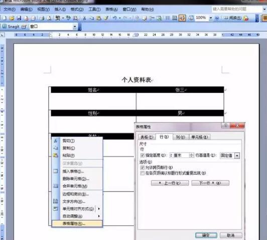 word2003繪制表格的簡(jiǎn)單操作講解截圖