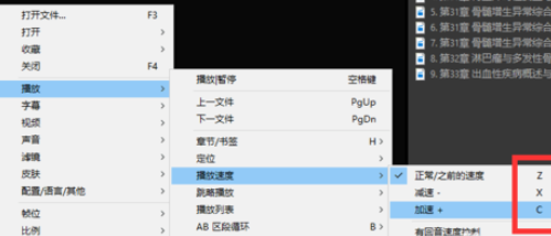 PotPlayer調(diào)整播放速度的具體使用流程截圖