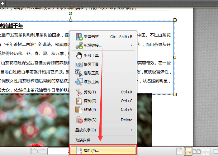 迅捷pdf編輯器為文件中部分文字加粗的操作教程截圖